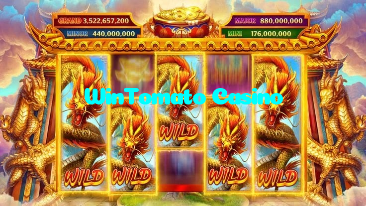 available types of WinTomato Casino bet including pre-match live express and system bets